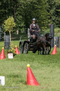 dressuur en vaardigheid  nienoord 10-8-2015  joshua keller-0231     